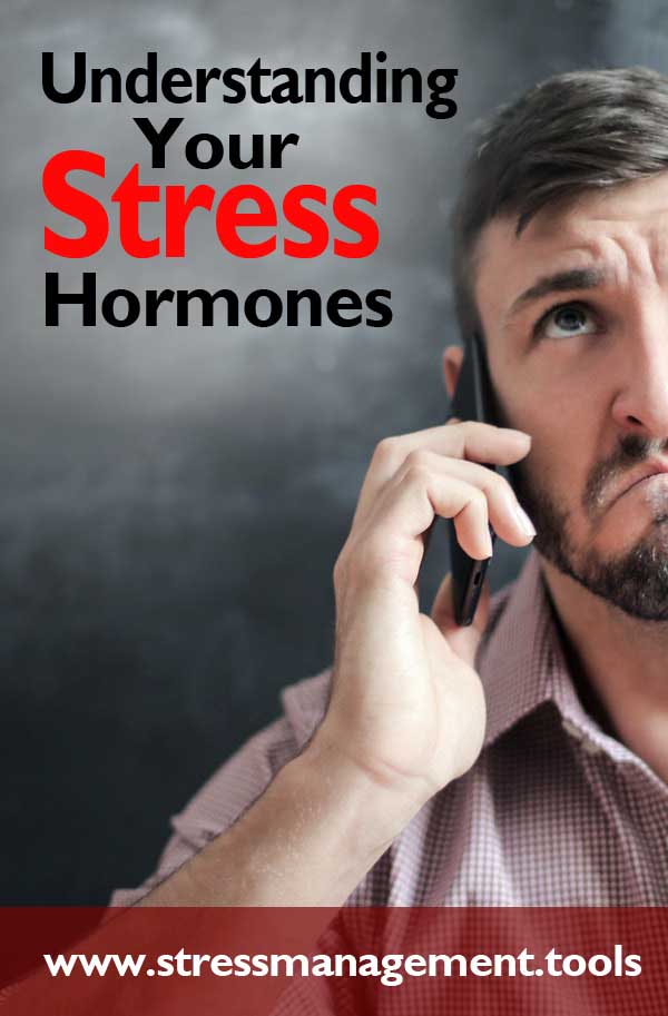 Understanding Your Stress Hormones