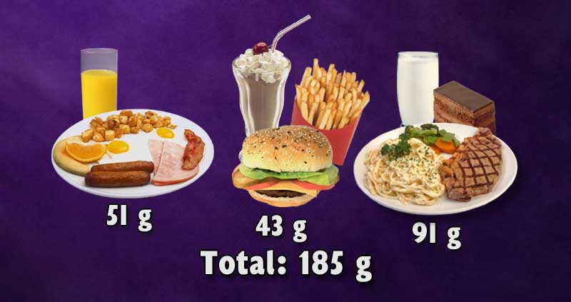 Three meals of a typical animal based diet resulting in 185g of protein.