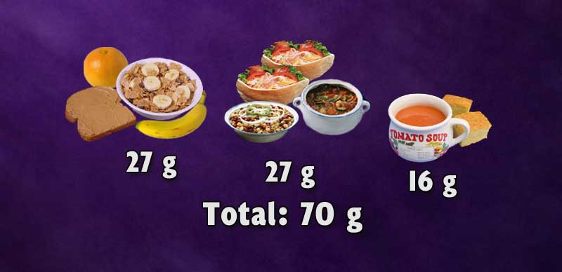 Three meals of a typical plant-based diet resulting in 70g of protein.