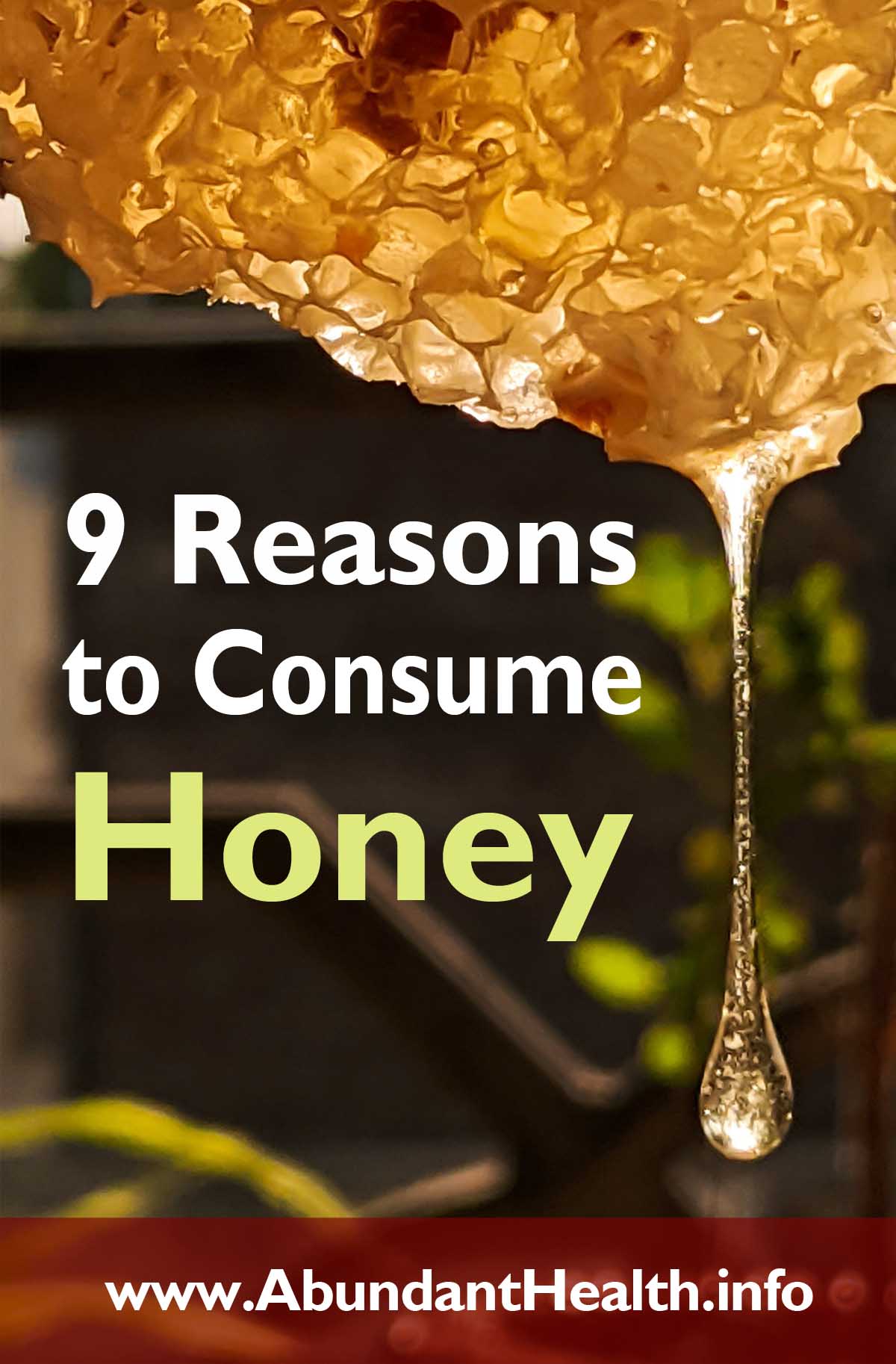9 Reasons to Consume Honey