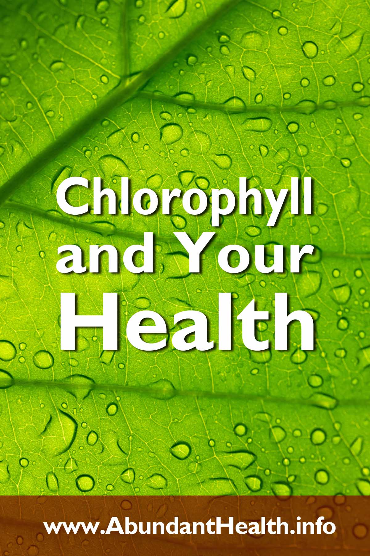 Chlorophyll and Your Health