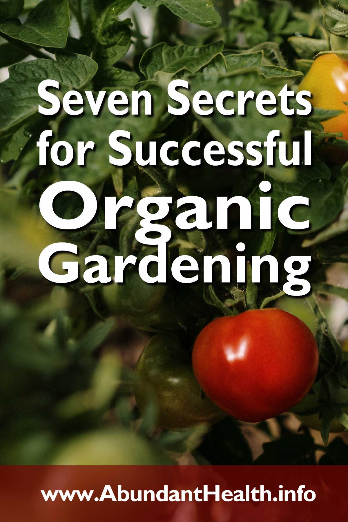 Seven Secrets for Successful Organic Gardening