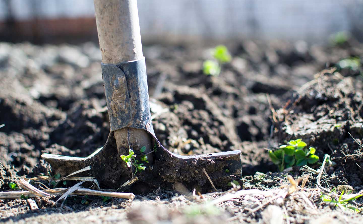 Loosing the soil with a spade - Photo by Lukas from Pexels