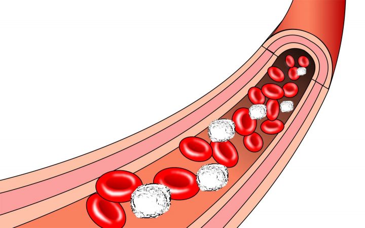 Red blood cells in the bloodstream