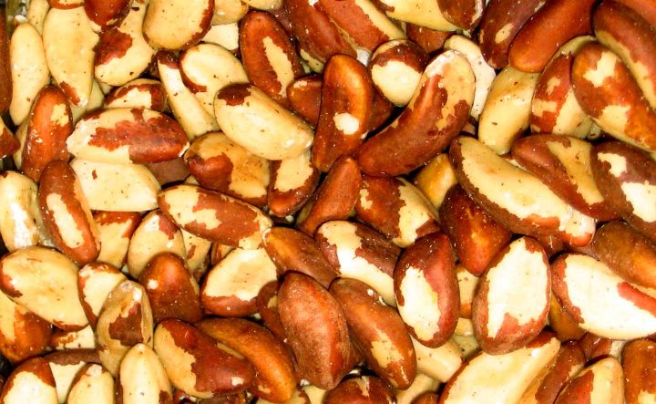 Brazil Nuts - Source: Wikipedia