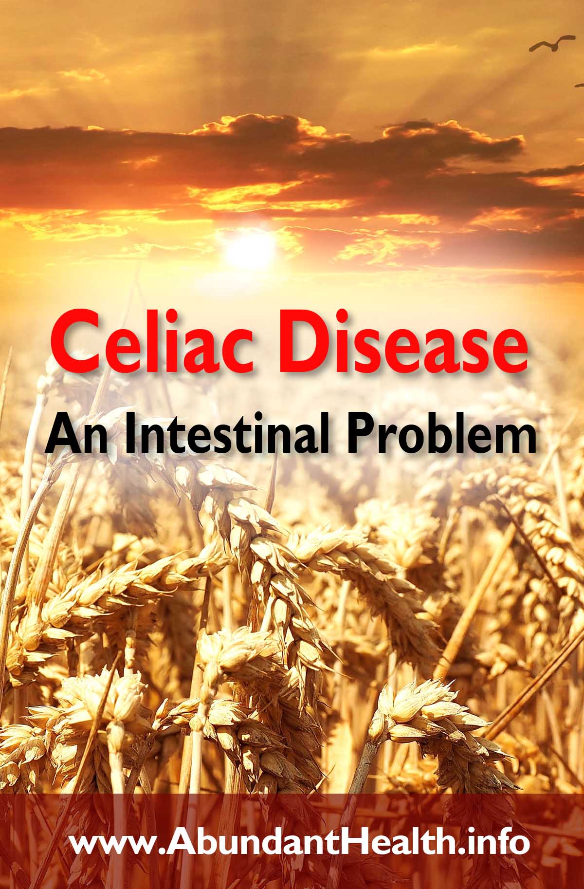 Celiac Disease - An Intestinal Problem