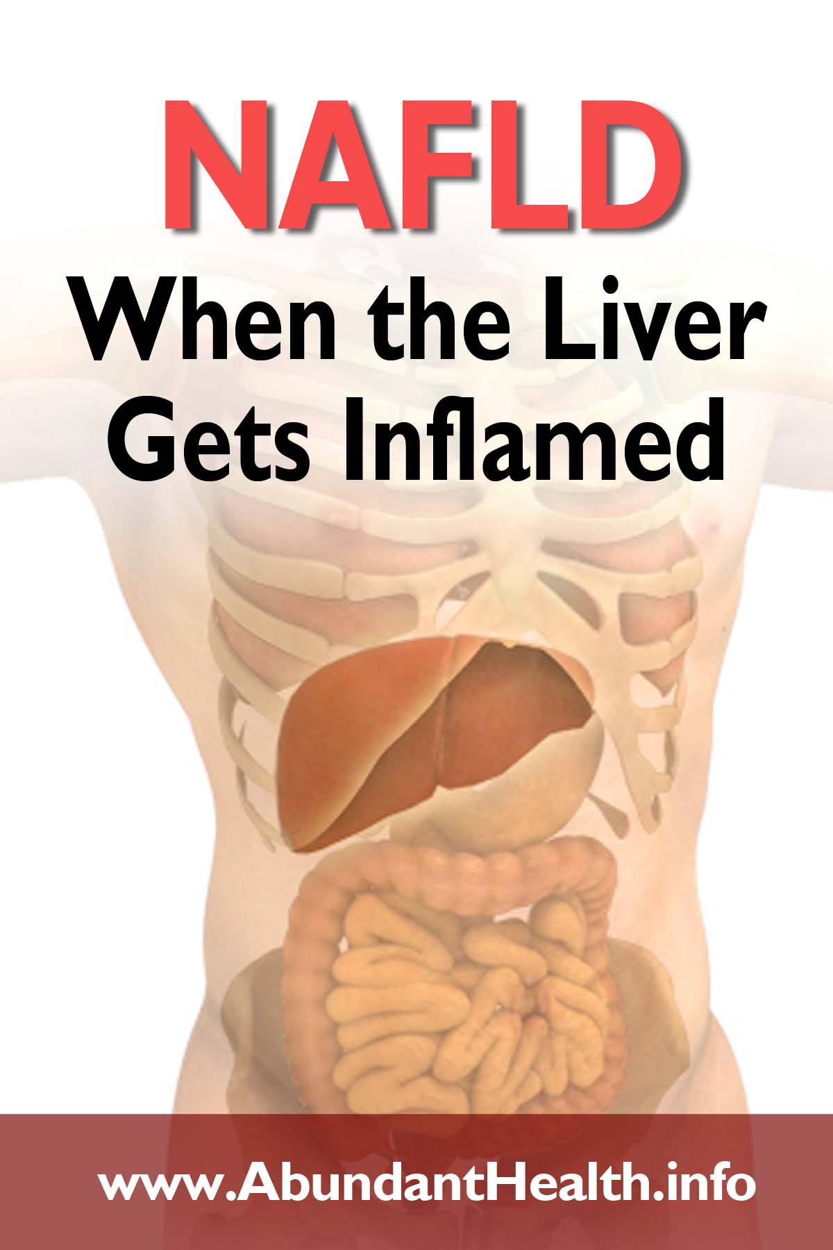 NAFLD - When the Liver Gets Inflamed