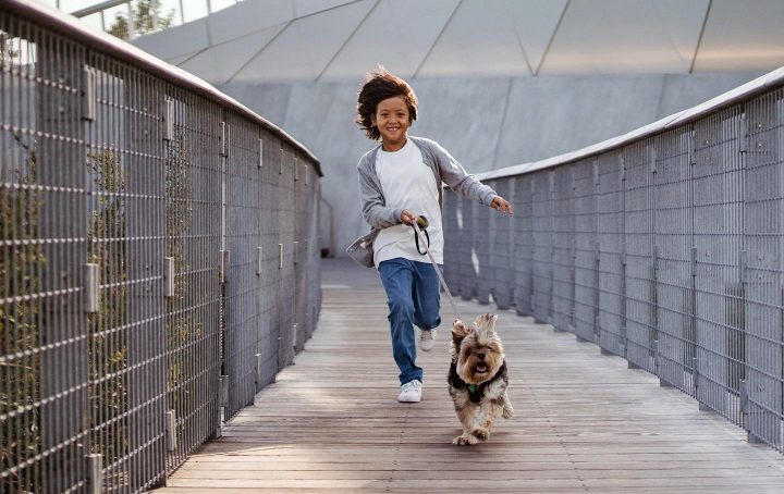 Uma criança levando o cachorro para passear