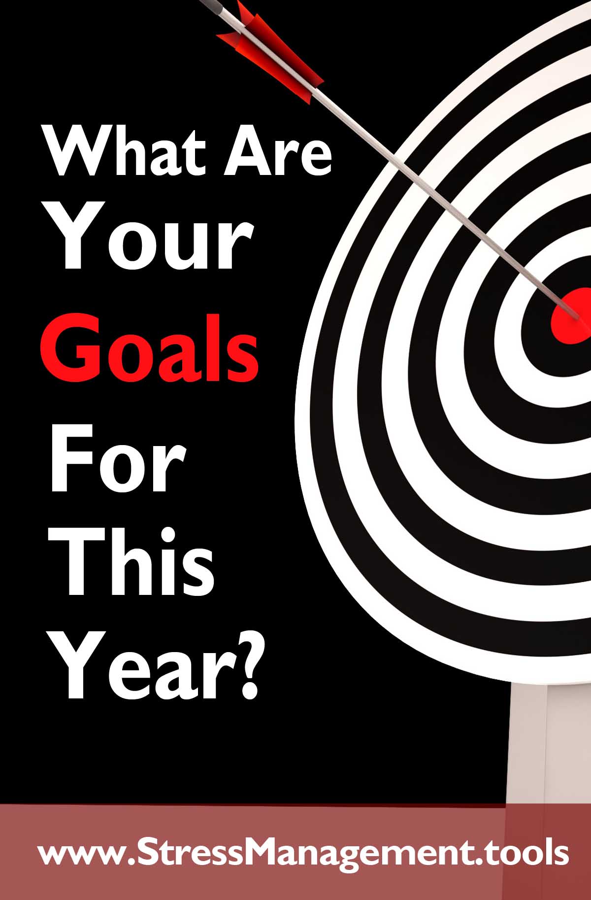 What Are Your Goals For This Year?