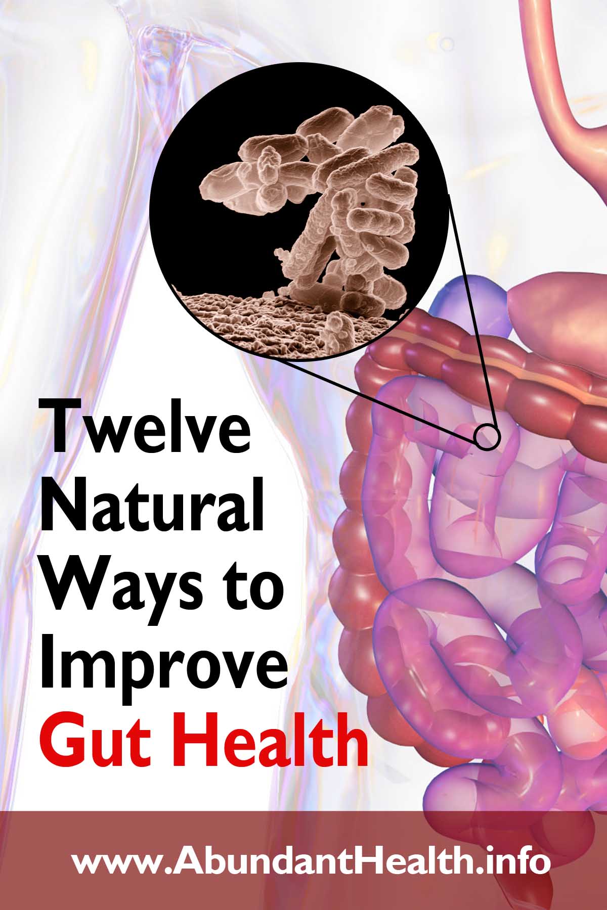 Twelve Natural Ways to Improve Gut Health