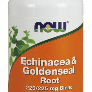 Now Echinacea & Goldenseal Root - 100 Capsules