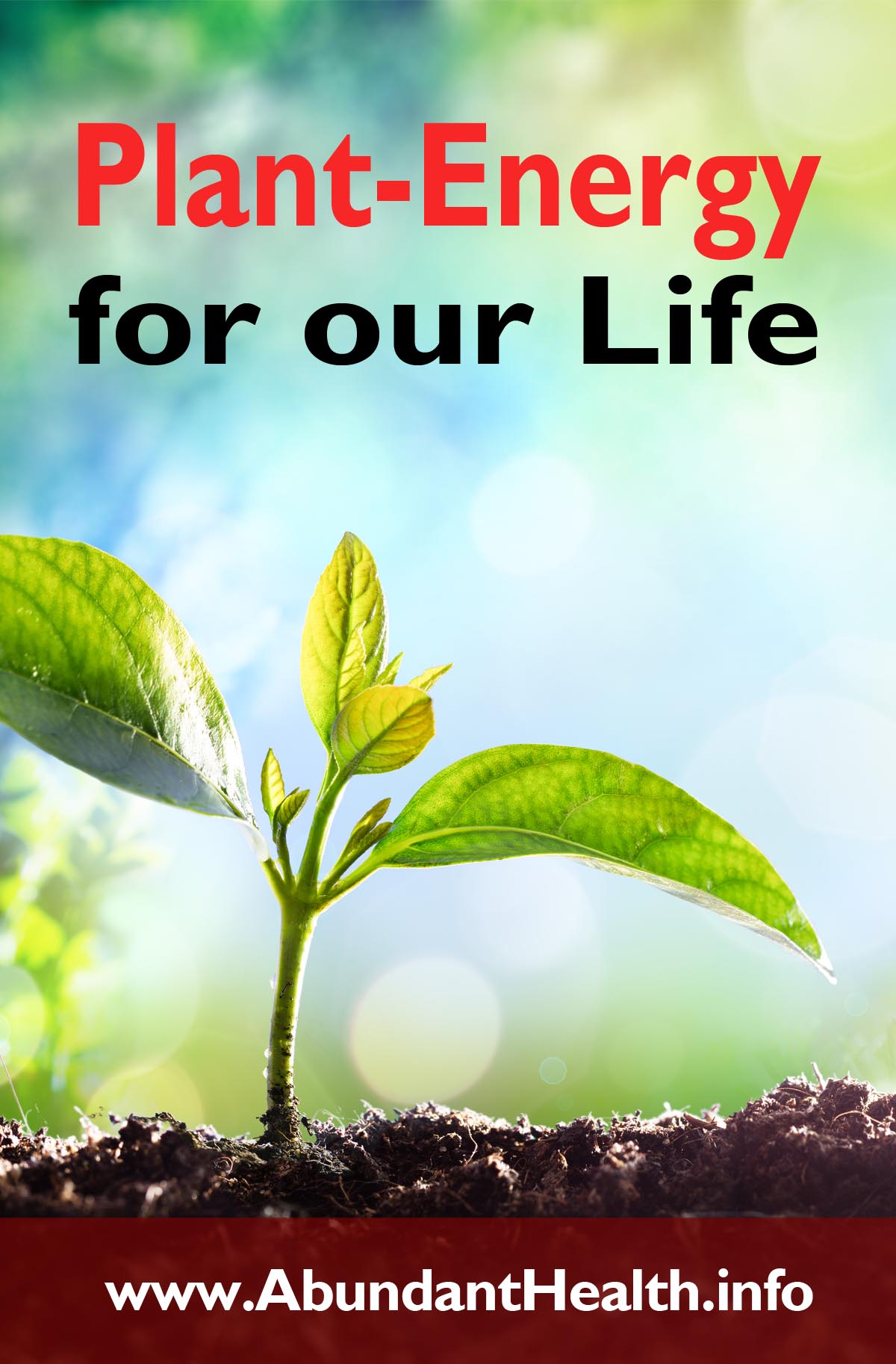 Plant-Energy for our Life