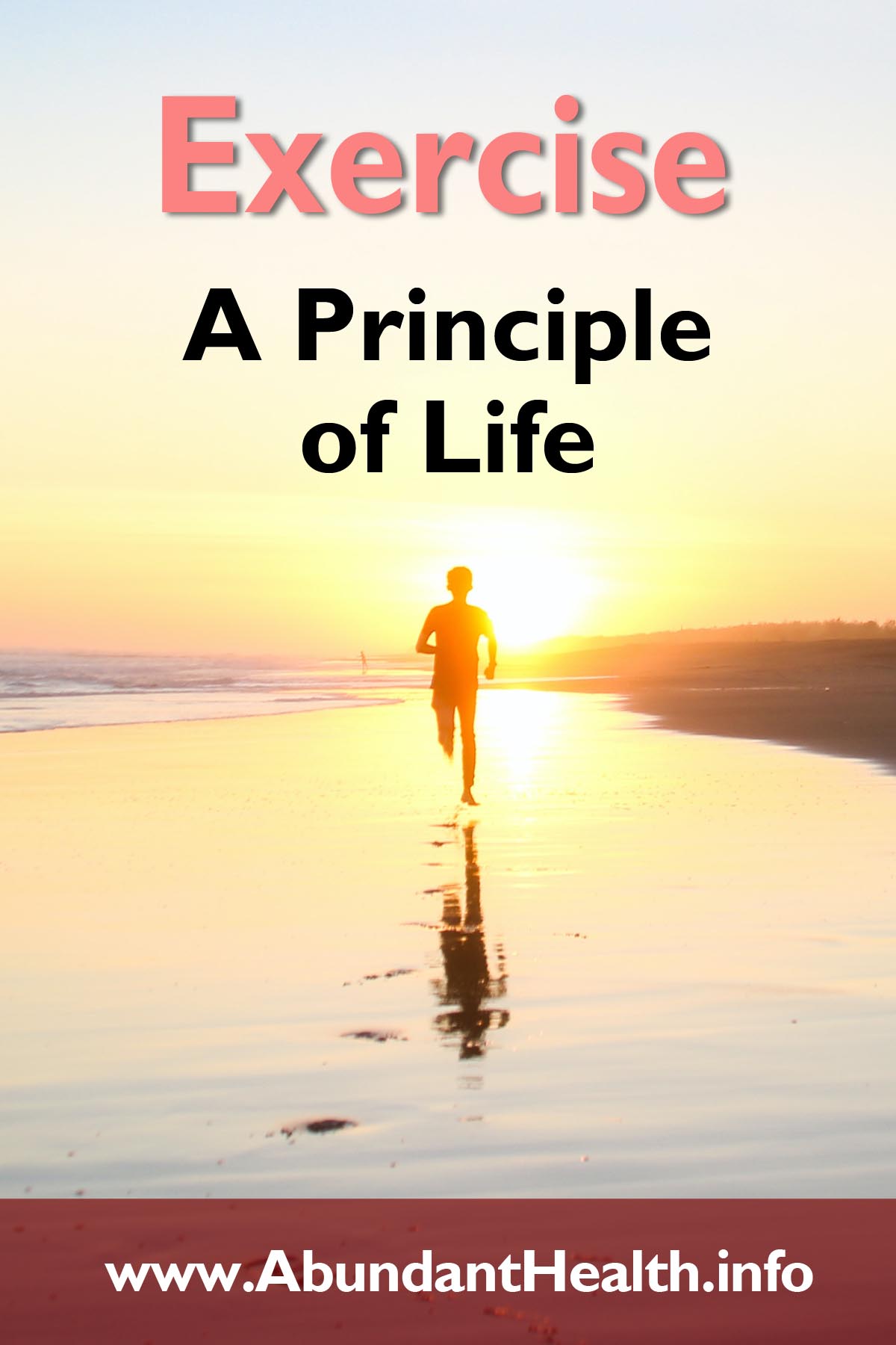 Exercise - A Principle of Life