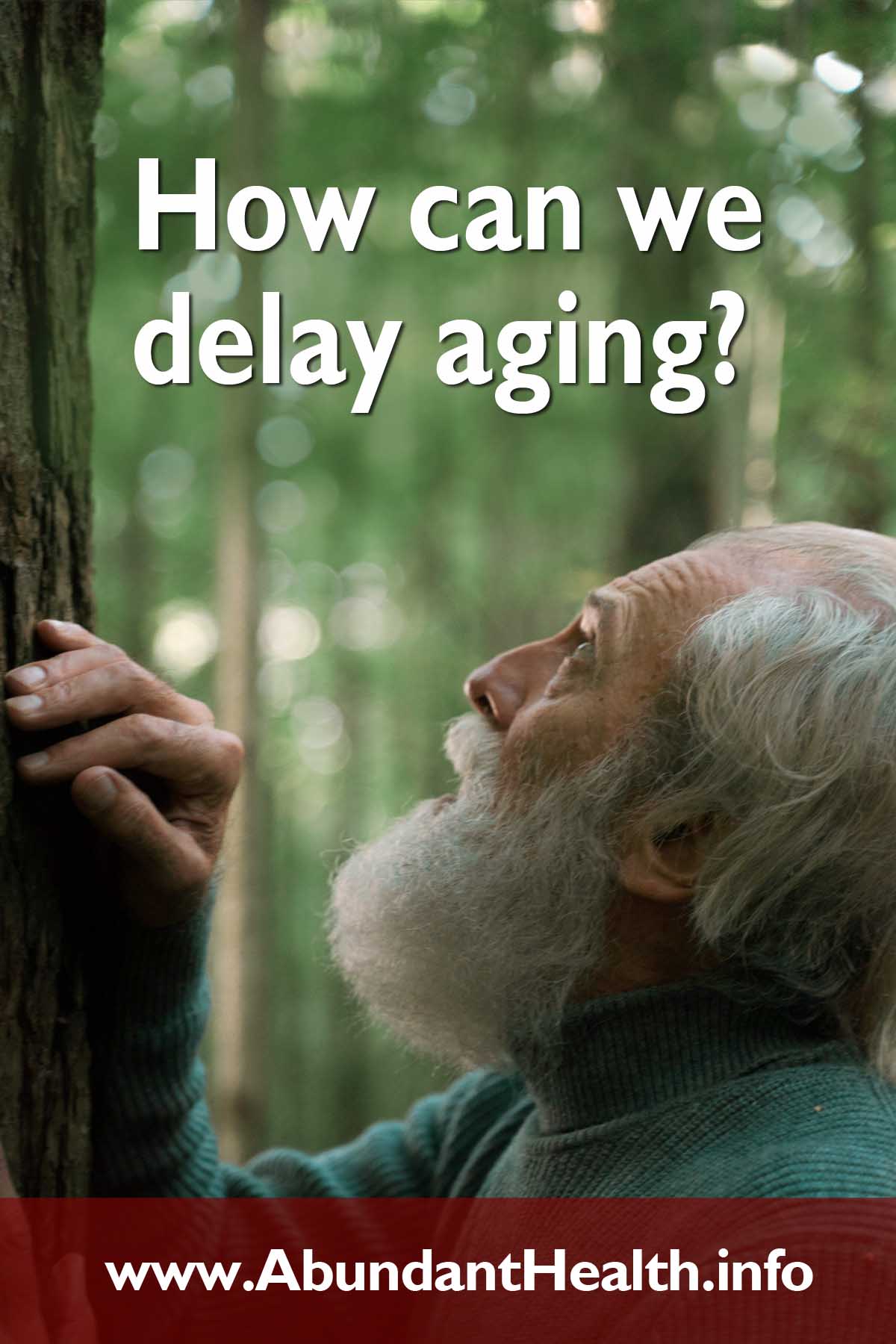 How can we delay aging?
