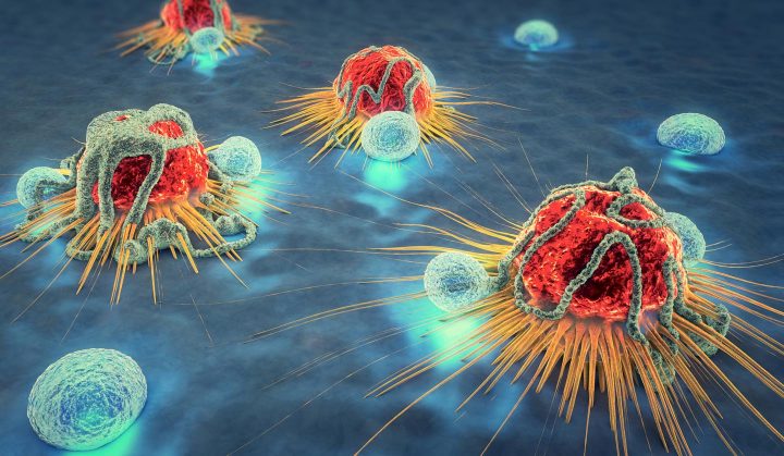 células do sistema imunológico atacando células cancerosas