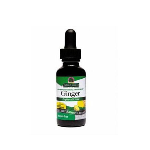Nature's Answer Ginger Root - ORGANIC ALCOHOL FREE, 1 OZ