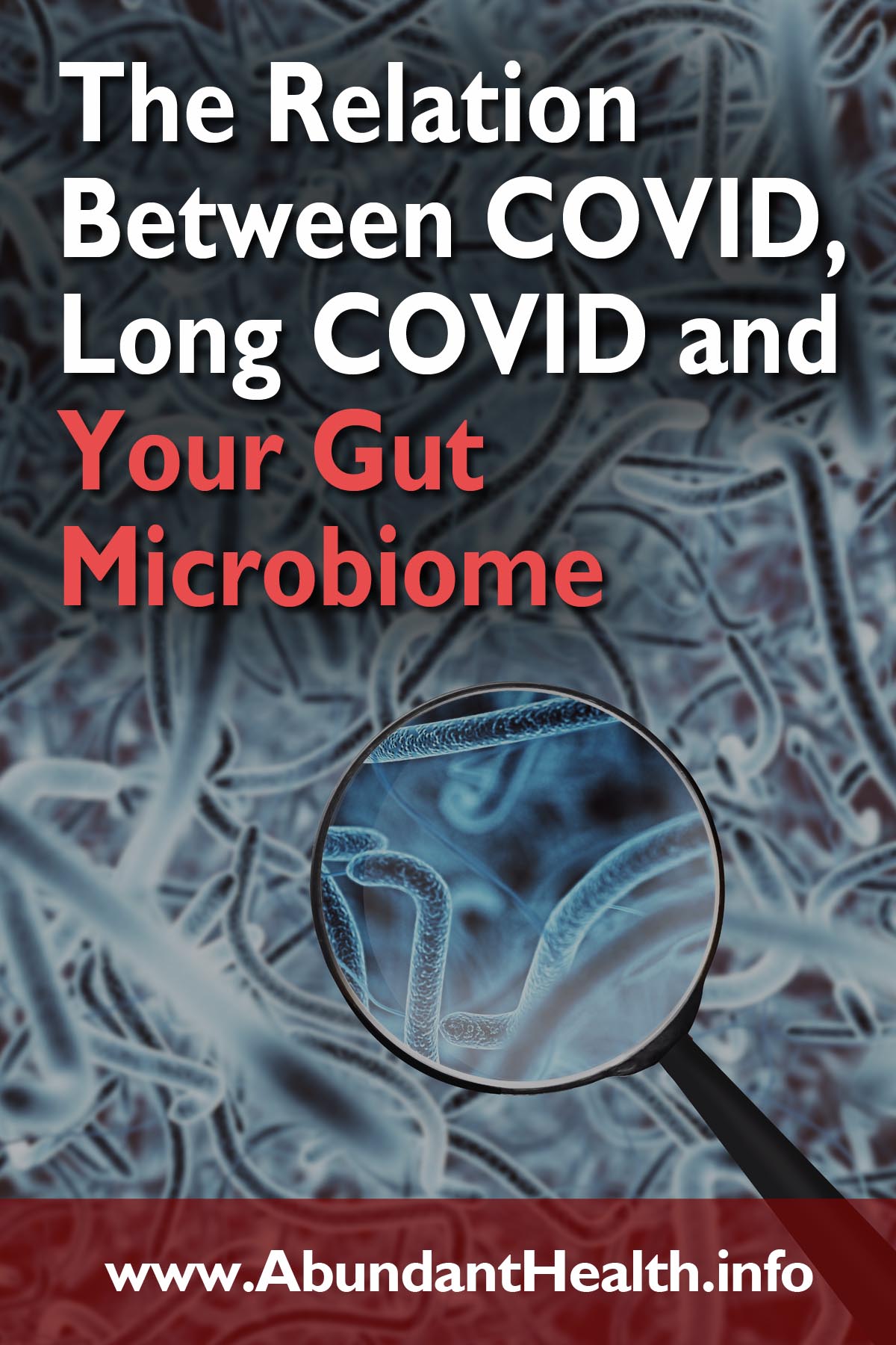 The Relation Between COVID, Long COVID and Your Gut Microbiome