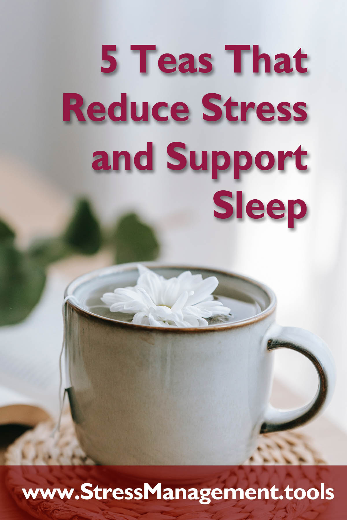 5 Teas That Reduce Stress and Support Sleep