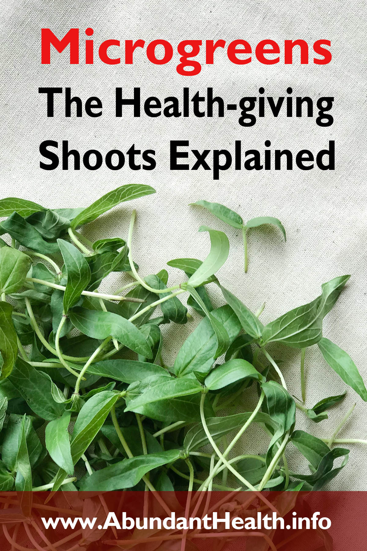 Microgreens - The Health-giving Shoots Explained