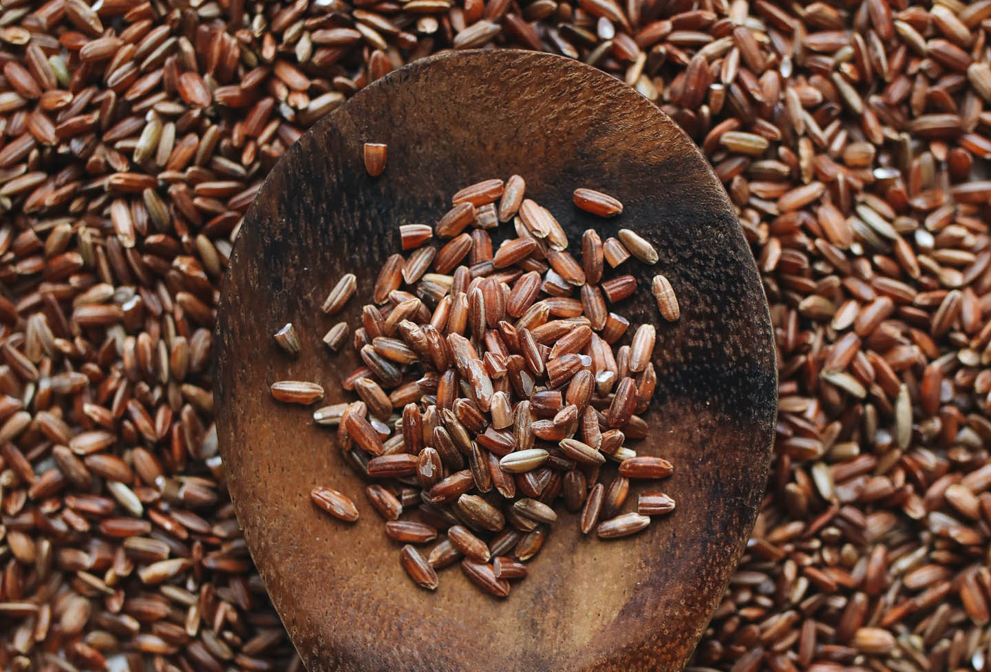 Fiber for Weight Control