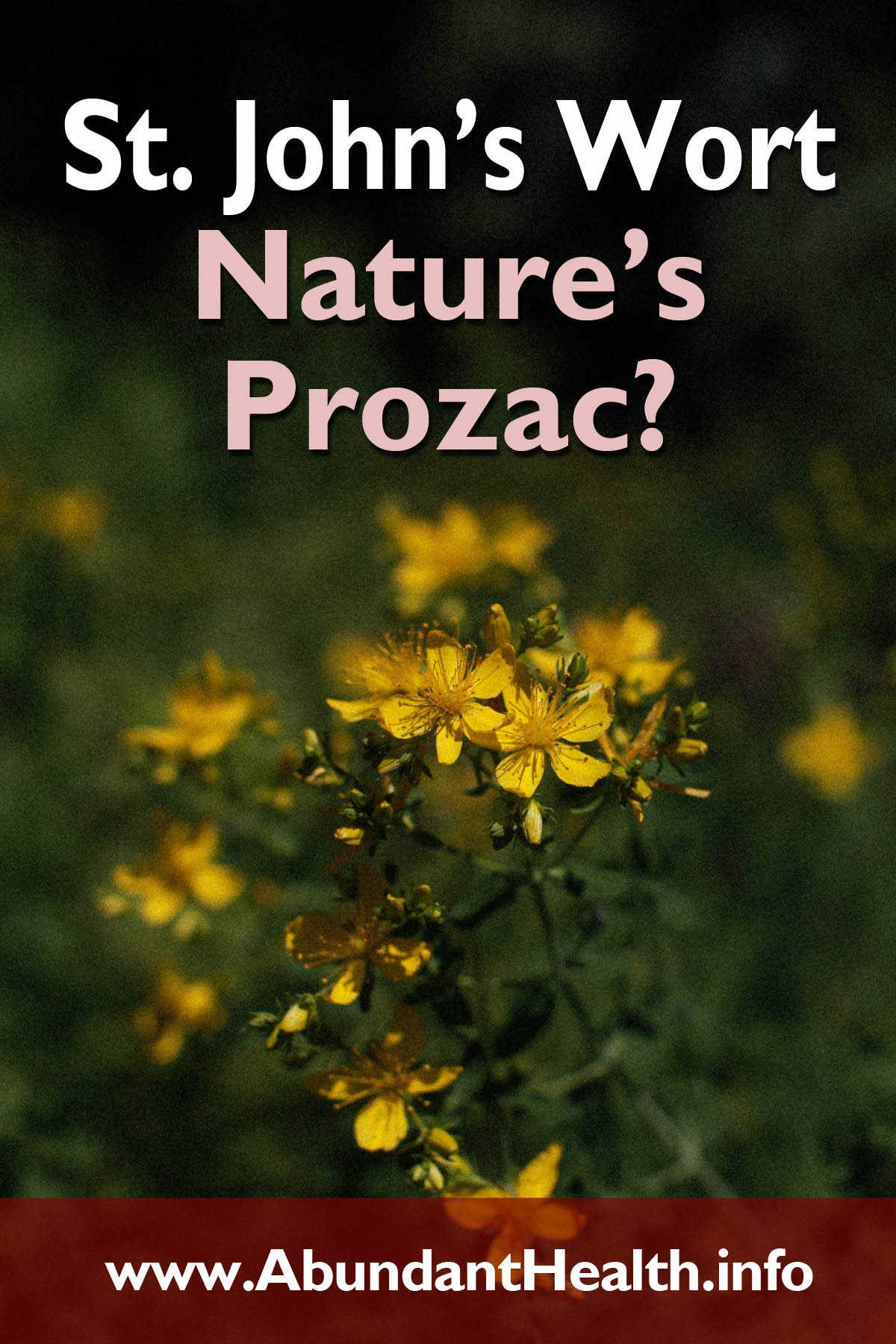 St. John’s Wort – Nature’s Prozac?