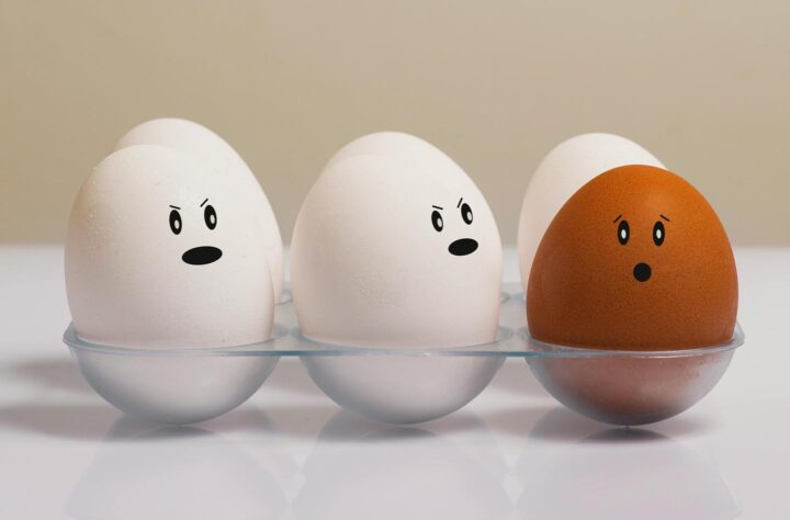 Faces of eggs looking puzzled
