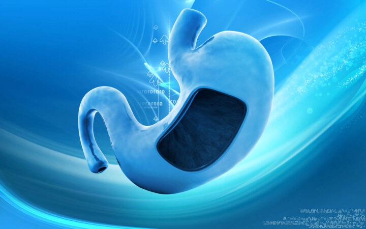 Illustration of a stomach