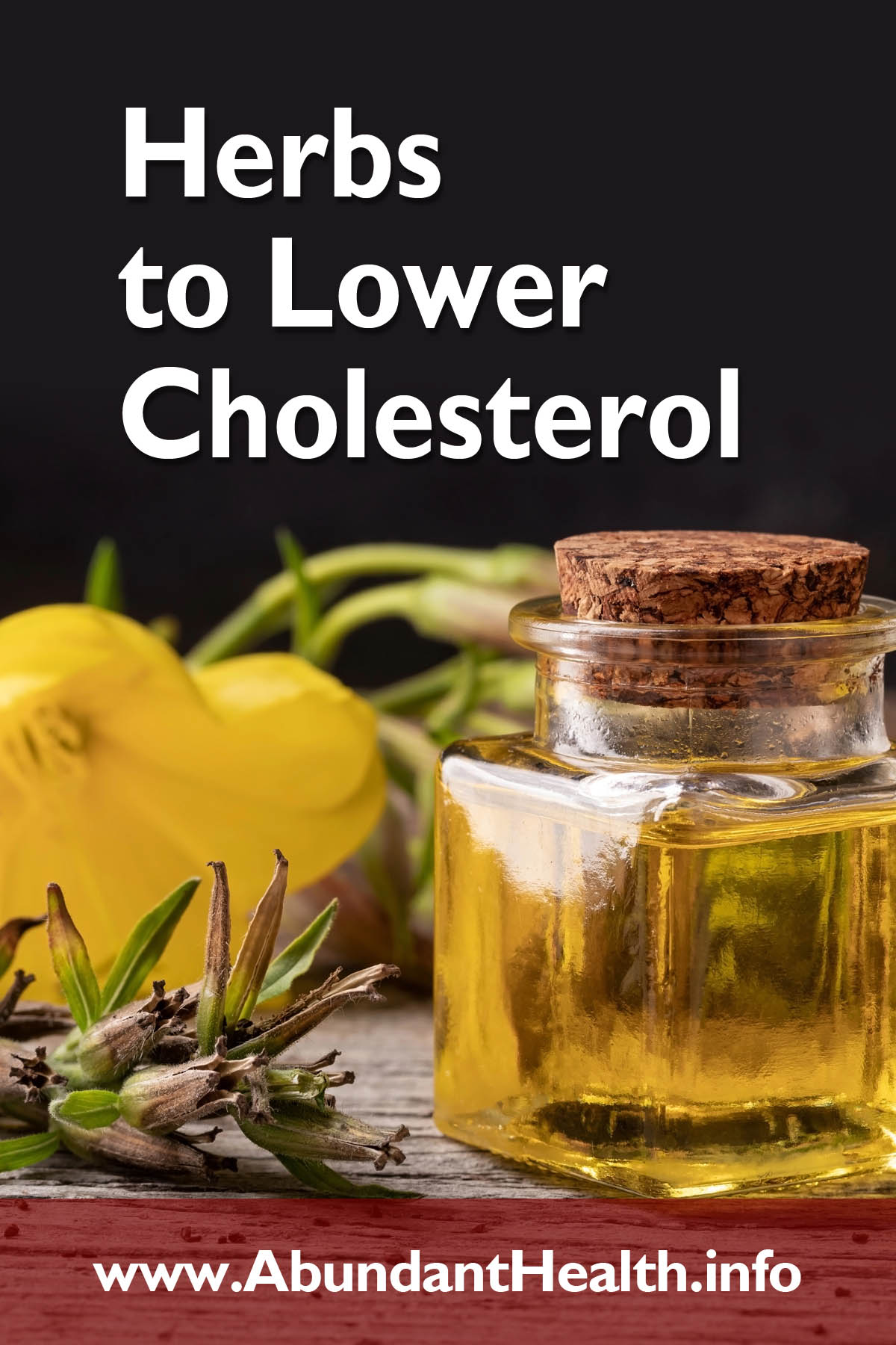 Herbs to Lower Cholesterol