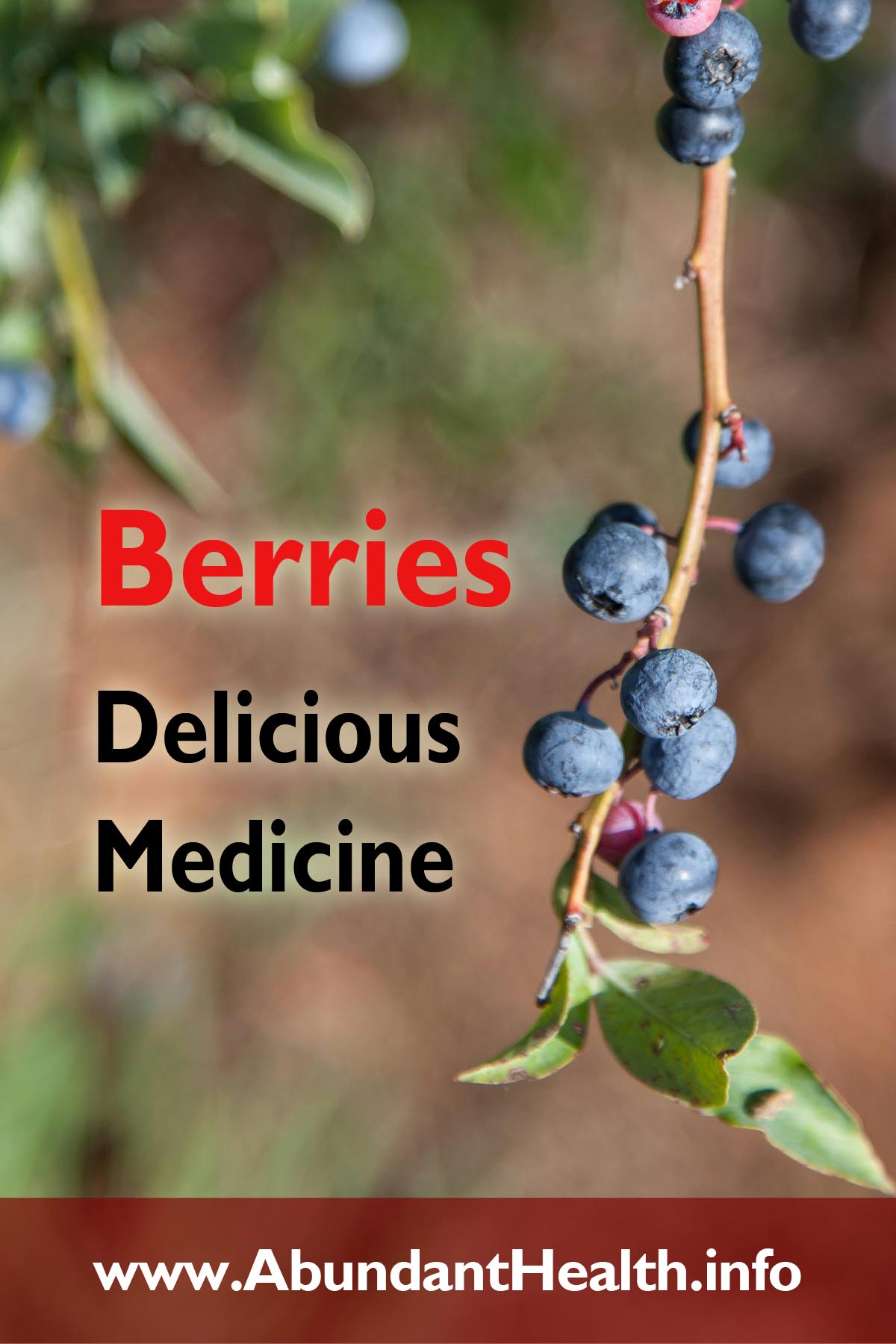 Berries-Delicious Medicine