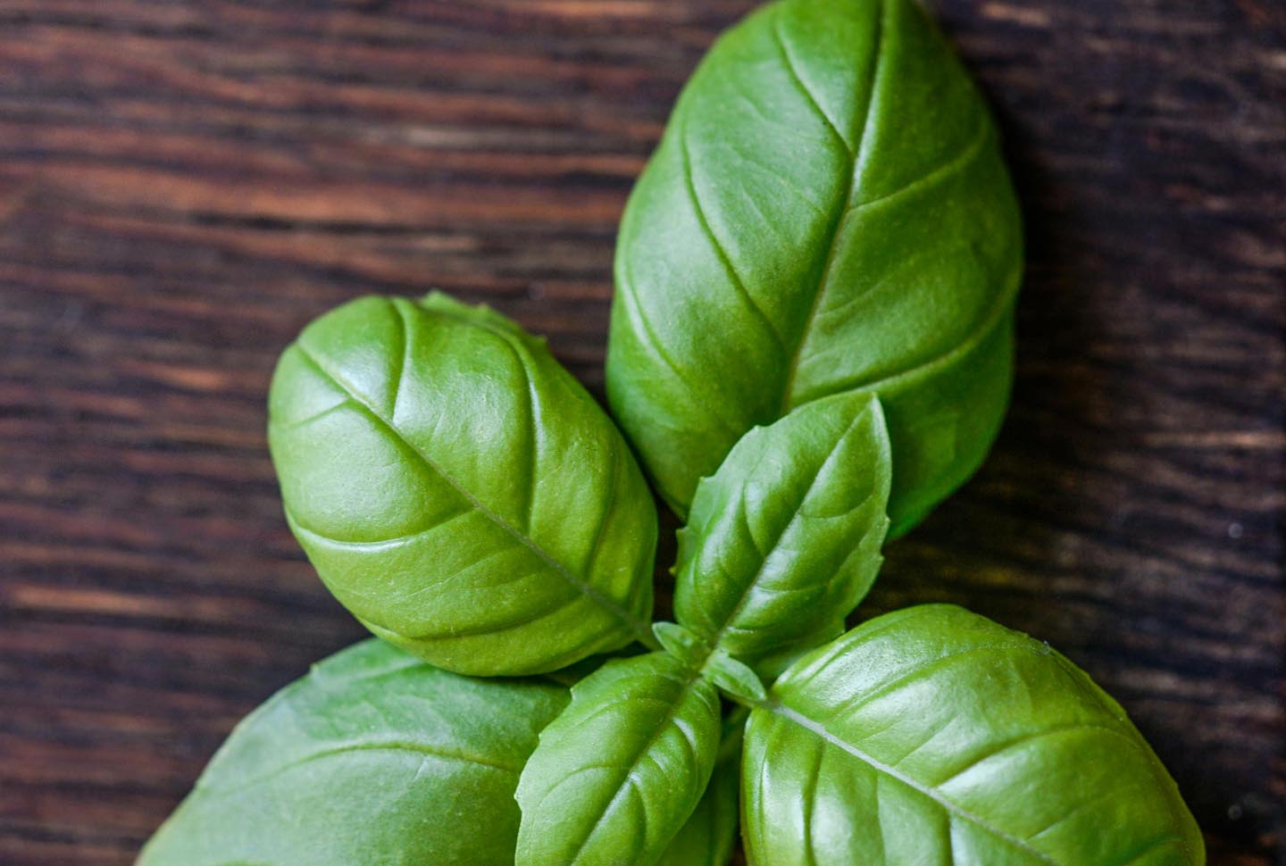 Basil - More than just a spice