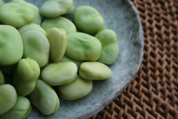 Cooked Fava Beans