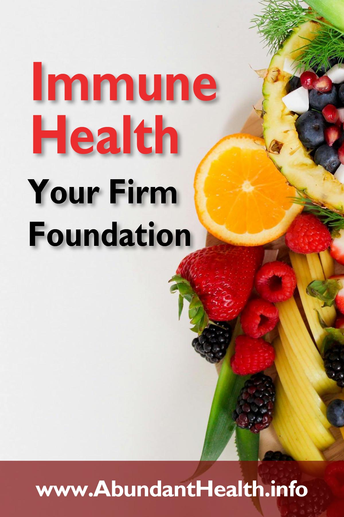 Immune Health: Your Firm Foundation
