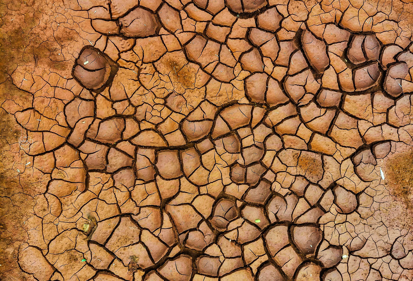 What Happens to Your Body when You’re Dehydrated?