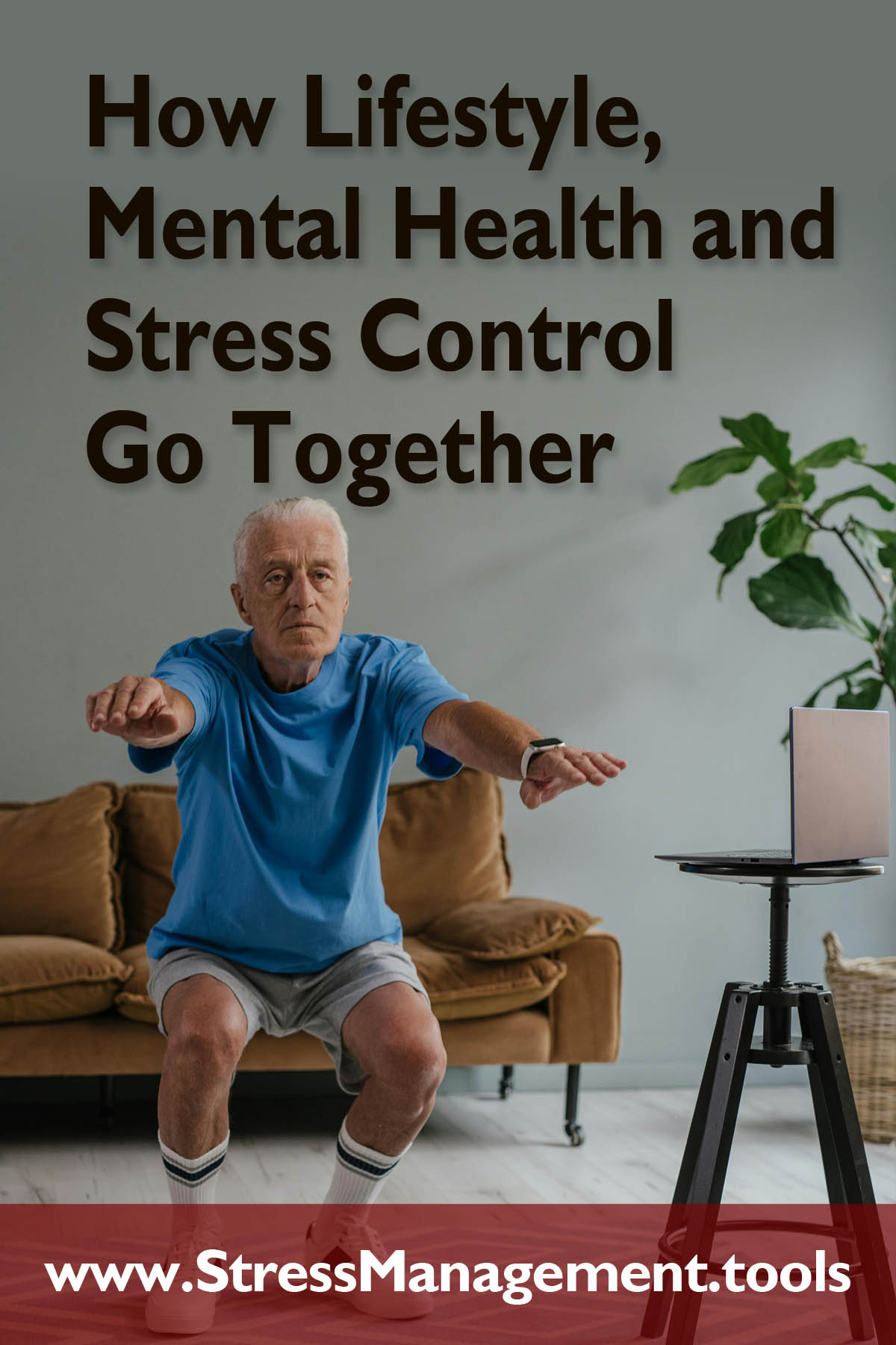 How Lifestyle, Mental Health and Stress Control Go Together