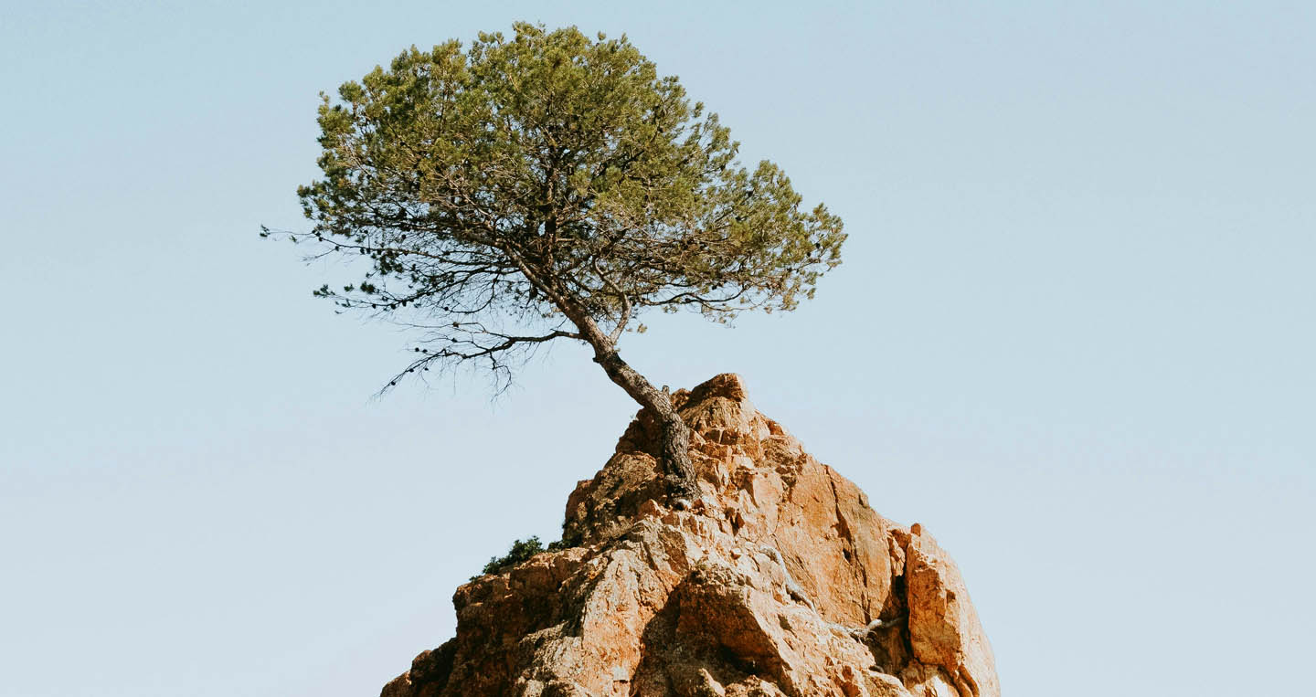 Ingredients to Resilience