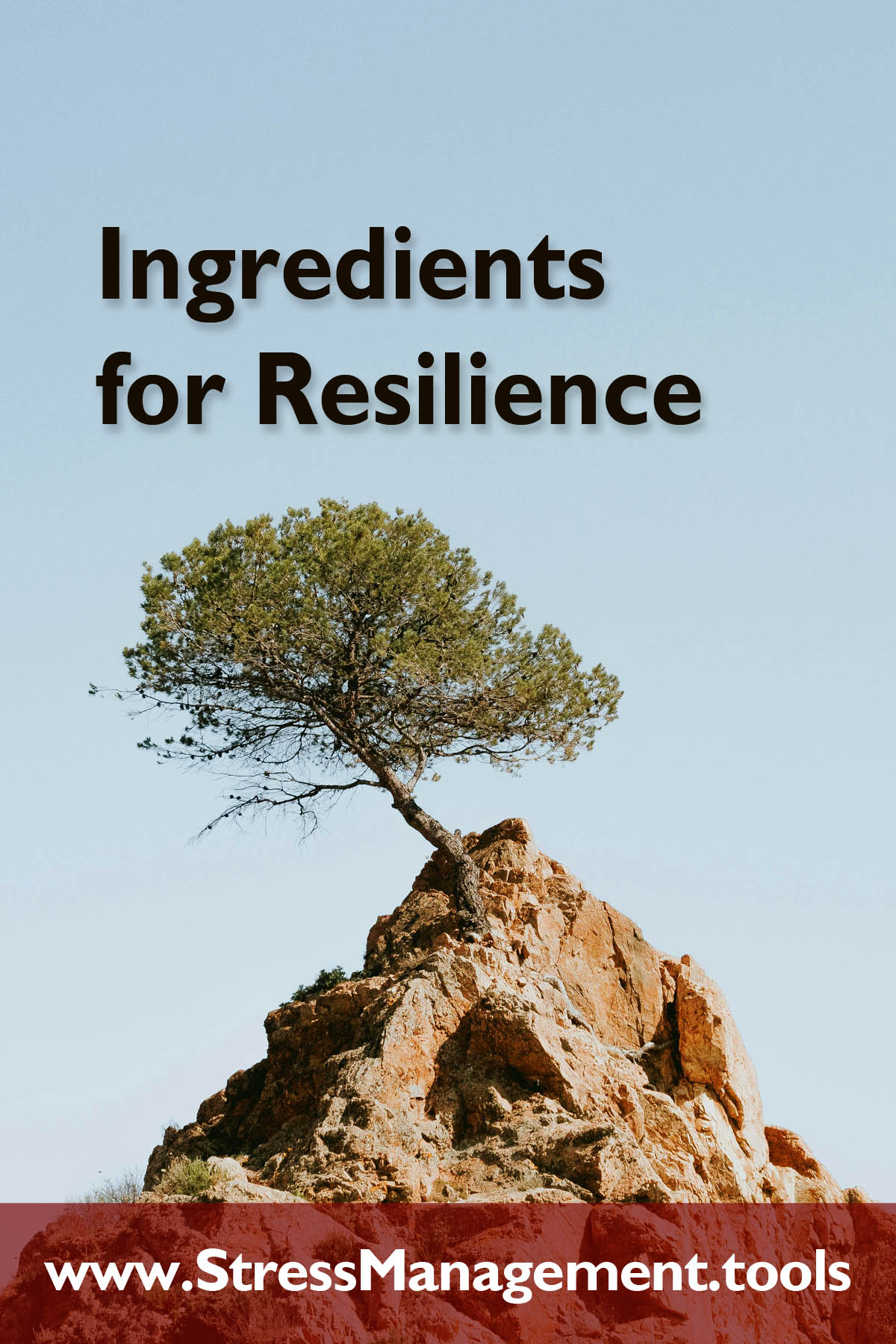 Ingredients for Resilience