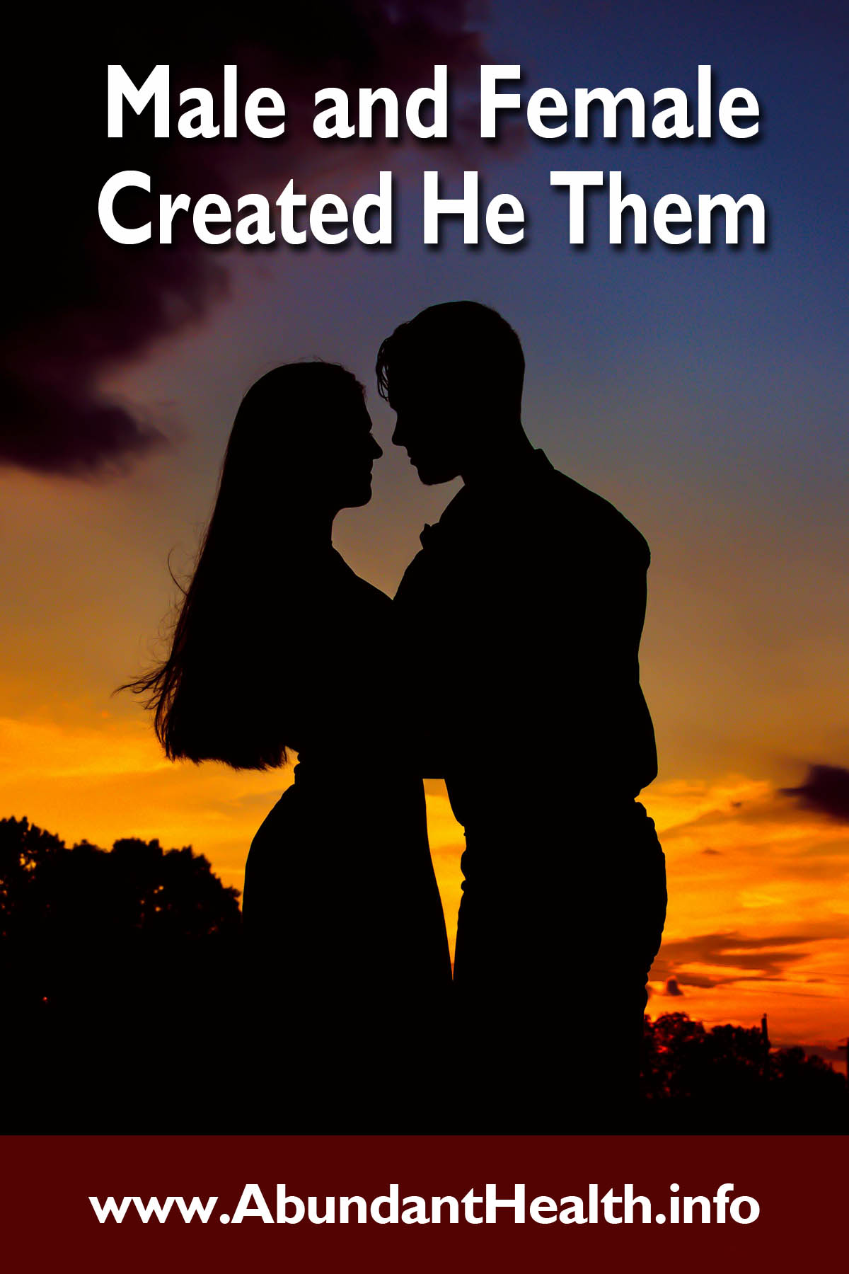 Male and Female Created He Them