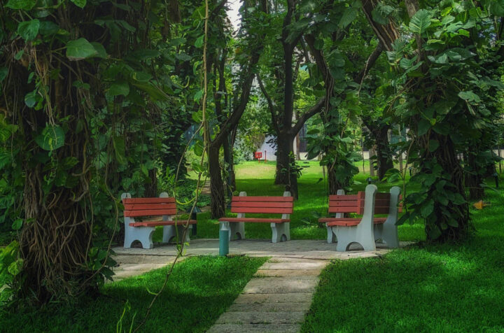 Park benches inviting to make a nature break
