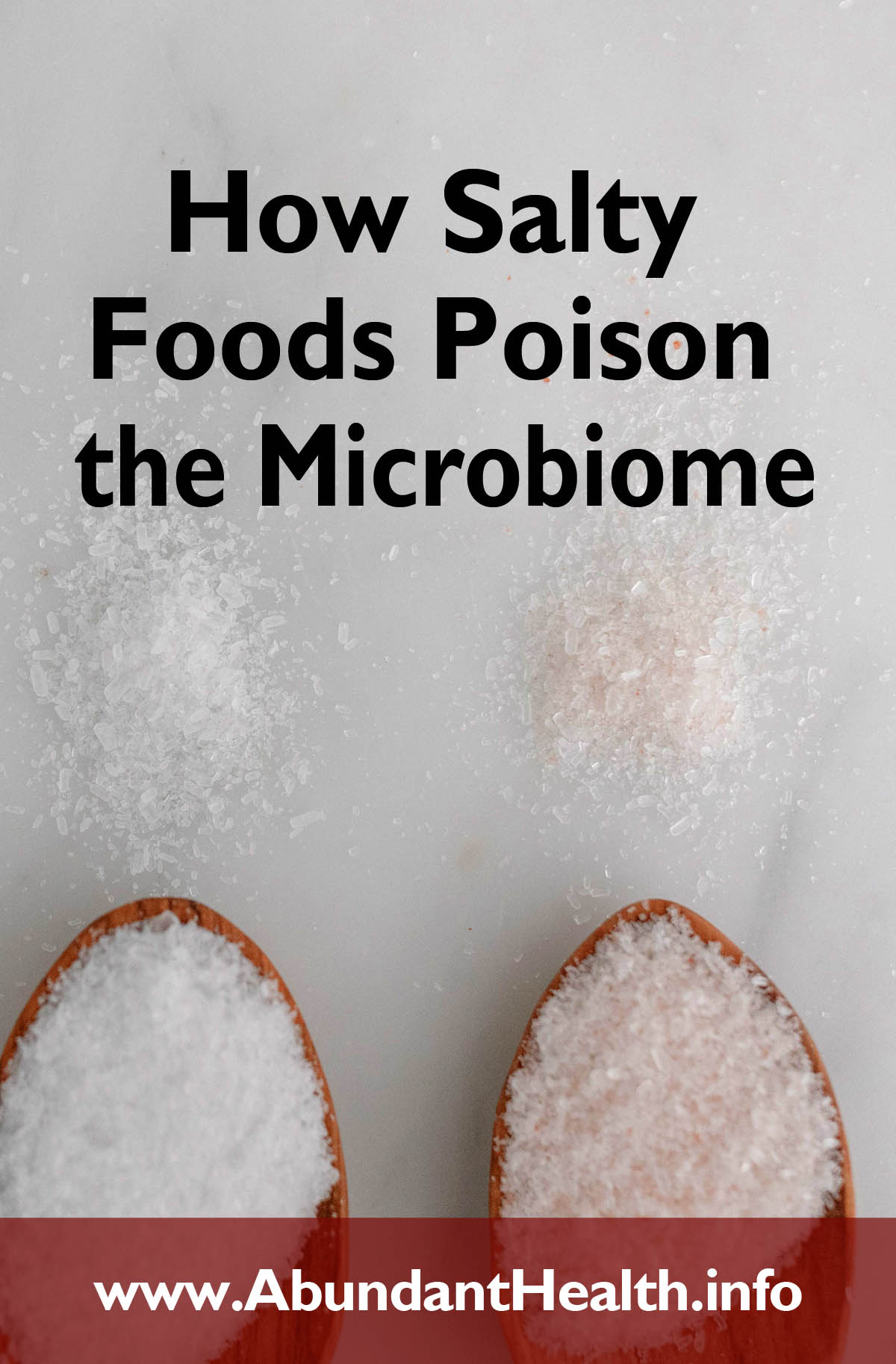 How Salty Foods Poison the Microbiome